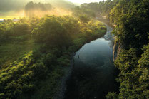 大沼英樹