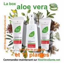 Box aloe vera premier secours au naturel SPRAY DE PREMIER SECOURS - EMERGENCY SPRAY ALOE VERA LR aloe via
