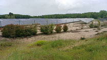 Les centrales photovoltaïques dévorent les forêts, comme celles d'ENGIE à Saucats en Gironde et à Martignas en Jalles par ENGIE.