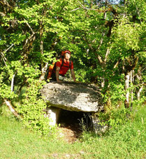 Dolmen,Joncas,Dolmen de joncas,gr65,Limogne en Quercy