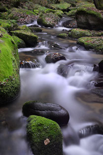 (c)OÖ Tourismus/Röbl