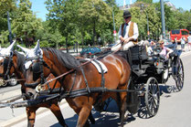 A horse carriage called Fiaker in Vienna