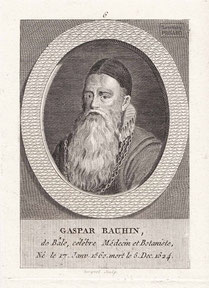 IMA.18.025 Caspar Bauhin (1560-1624) (Kupferstich, um 1780) / © Sammlung PRISARD