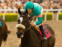 Zenyatta. www.bloodhorse.com