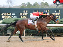Looking at Lucky gewinnt die Rebel Stakes. www.bloodhorse.com
