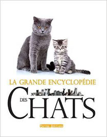 Chat le cannet