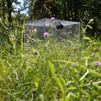 VSI ecosystem respiration chamber in grassland