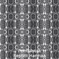joustava kangas printti lycra Reptiili Harmaa