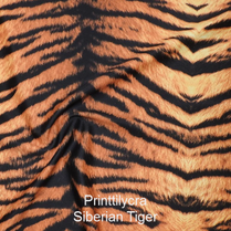 joustava kangas printti lycra Siberian Tiger