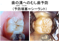 クリックすると拡大します