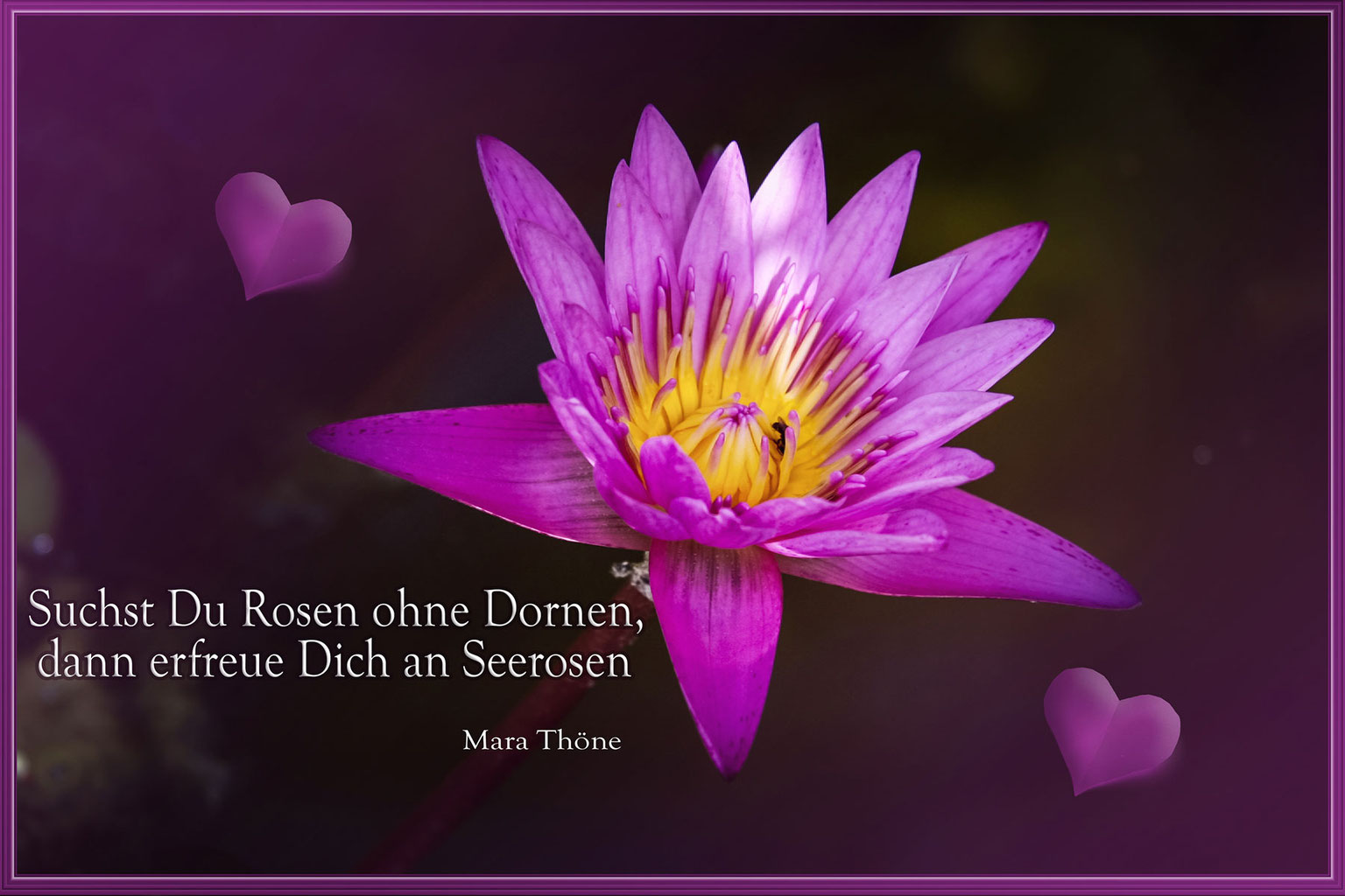 Meer Spruche Zum Sehnsucht Haben Kustengluck