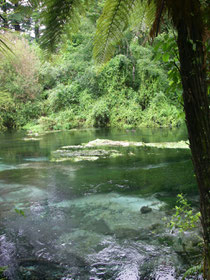 Hamarana Springs