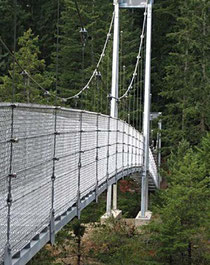 Top Bridge Regional Trail