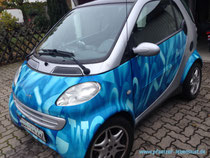 Smart Fortwo Zebramuster Zebrastreifen