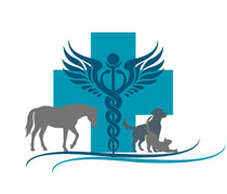tiertherapie-netzwerk Schweiz