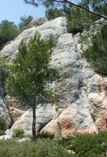 Graffitis naturels