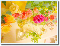 さし色にはお花のようなhappy color を♡