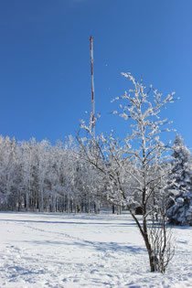 Blick zum Kreuzberg (Rhön) 927,8m