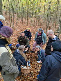 Pilze unter Laub suchen (Foto: © Eva Lammek)
