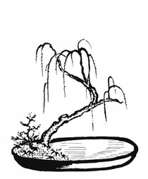 moribana - paysage