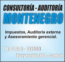 Consultoría - Auditoría Montenegro