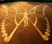 Crop circle 209