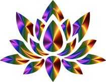 Clickandbay- lotus-flower-many-colors