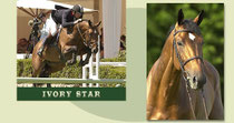 IVORY STAR SF (ARPEGE PIERREVILLE)