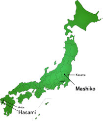 Hasami ceramic