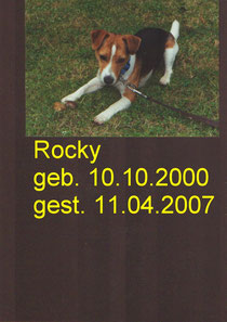 Jack Russel von Susi, nach nur 6 Wochen auf der Insel,überfahren.