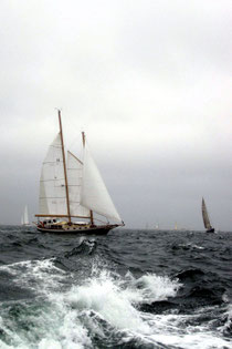 marion to Bermuda photo