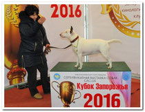 Наша гордость - дети-чемпионы. Баста.