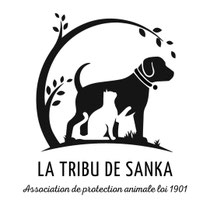 Site de latribudesanka !