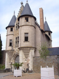 Schloss Angers