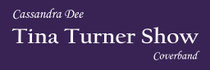tina-turner-show-berlin