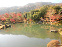 曹験池庭園