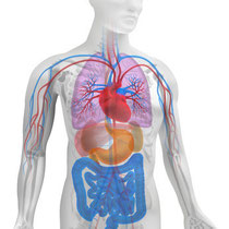 heilpraktiker-Morbus-Crohn.de