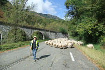 Des ouvrages où ne siffle plus le train