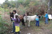 Les enfants s'approchent pour caresser les ânes qui sont bien braves...