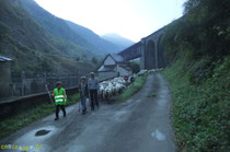 en bas d'Aubise vers le Pont d'Urdos