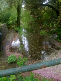 Dieses ist ein Wassergraben in der Niendorfer Straße, normalerweise kaum wasserführend