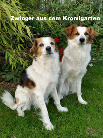 kromigartens jimdo page!