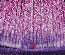 写真提供：あしかがフラワーパーク