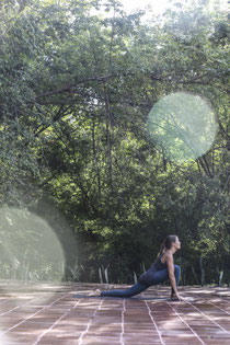 Boutique hostel in the area of Minca and Santa Marta