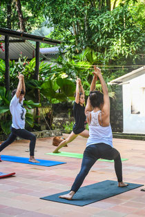 Boutique hostel in the area of Minca and Santa Marta