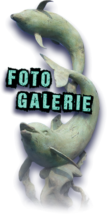 Grafik / ATLANTIS-Wildwasserbahn: "Button FOTO GALERIE"