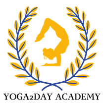 Vinyasa Yoga, Power Yoga Kurs, Yoga für Senioren, Golden Age Yoga. Yoga Ausbildungen, Yogalehrer Ausbildung. Kinderyoga. Yogalehrer Ausbildung (Yoga Teacher Training), Meditationslehrer Ausbildung / Meditation Ausbildung in Zürich Oerlikon