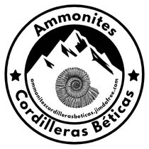 Ammonites de las Cordilleras Béticas