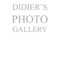 Didier's Photo Gallery