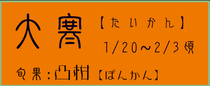 大寒【たいかん】：ポン柑